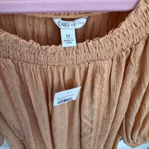 Cato Blouse in Soft Peach with Gold Details